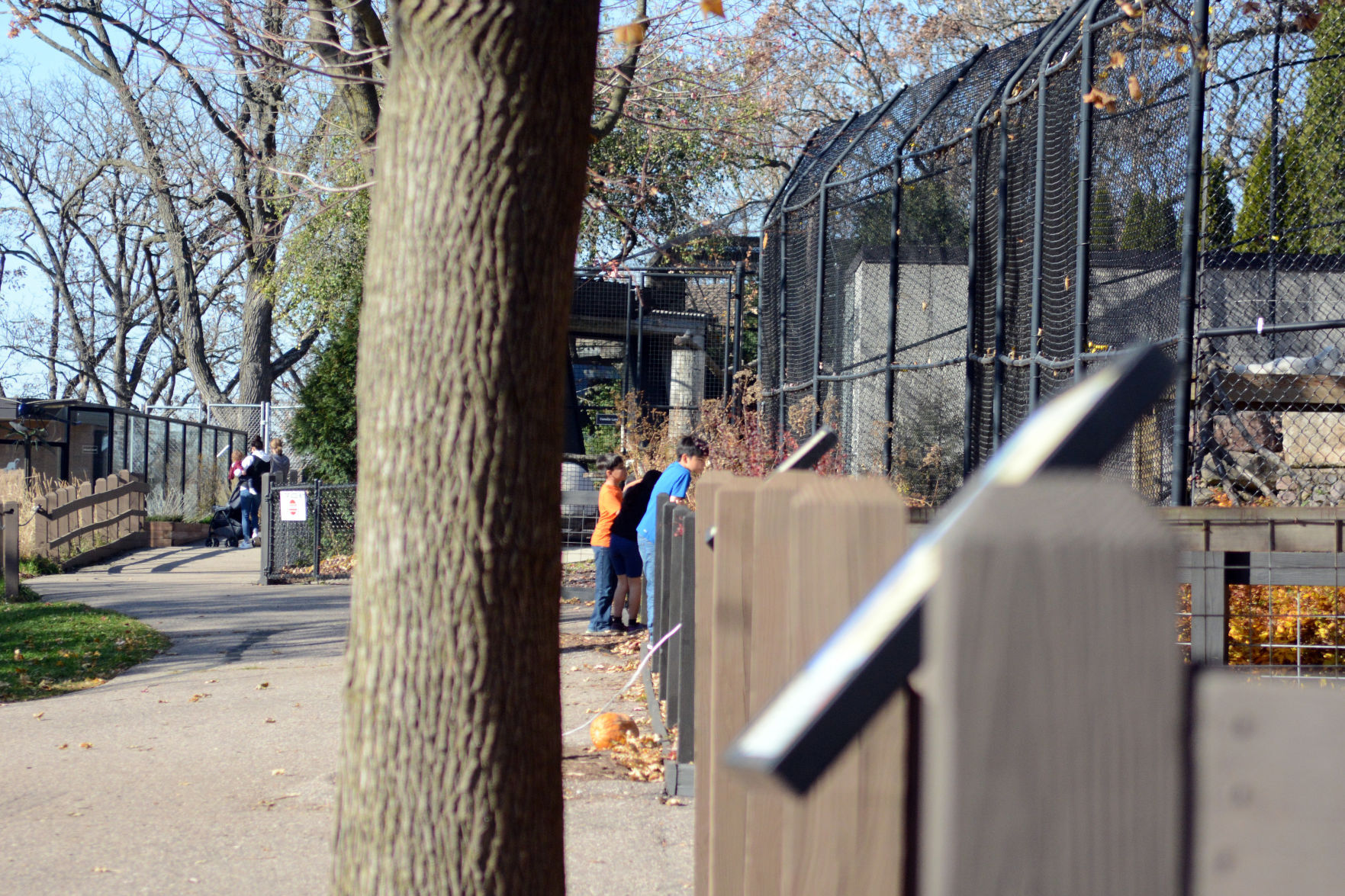 Scenes from Baraboo's Ochsner Park Zoo, Nov. 7, 2020